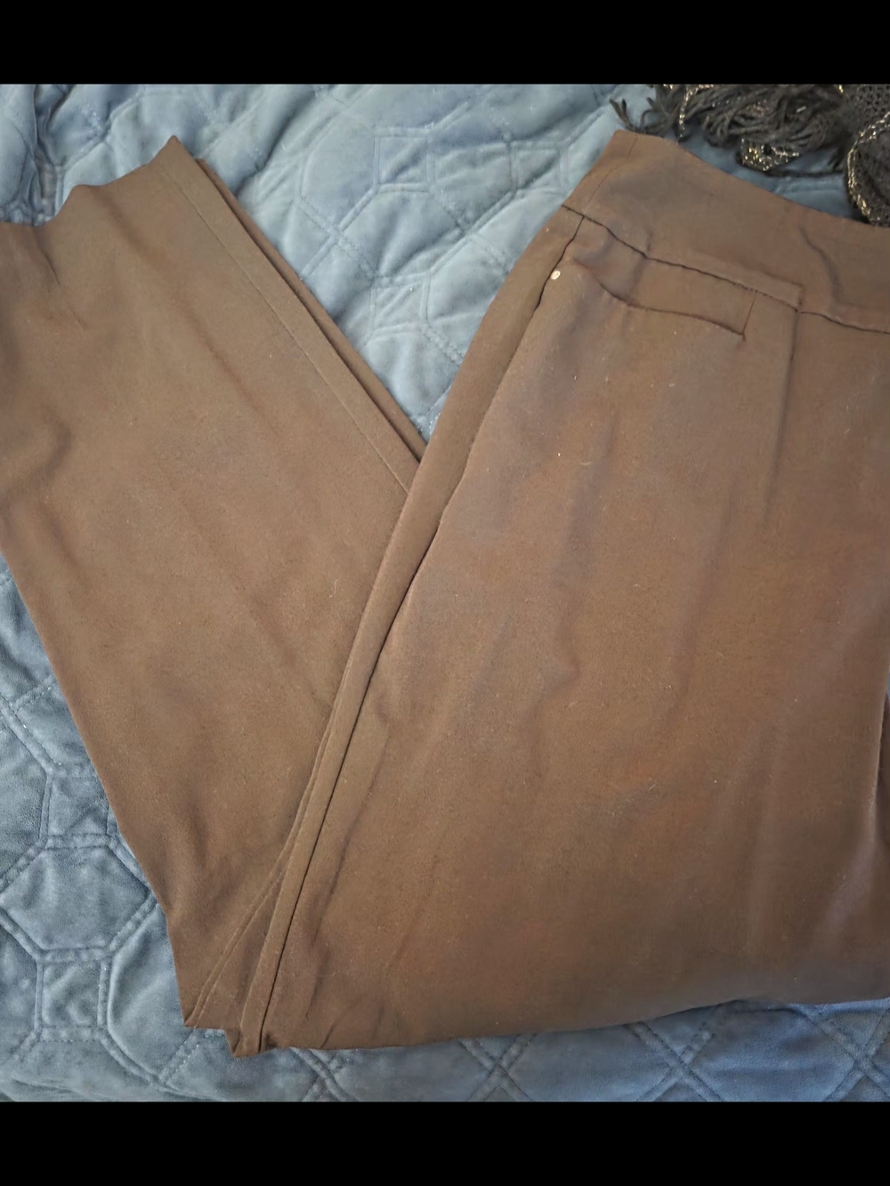 Briggs New York Brown Women's Dress Pants - Clean Front